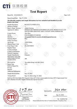  تقرير اختبار البيئة أبيض وأسود EVA